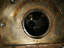 IMG_20220623_134509.jpg
