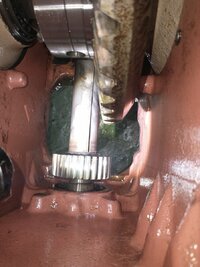 IMG_20220708_183658451.jpg
