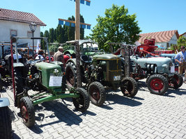 Bild (31).JPG