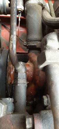 20220805_110322.jpg