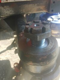 IMG_20220817_114415.jpg