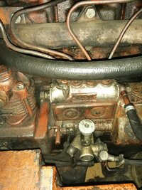 IMG_20221112_111621.jpg