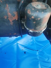 IMG_20230504_100207.jpg
