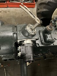IMG_0407.jpeg