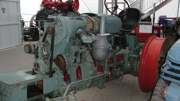 CIMG5354 (Large).JPG