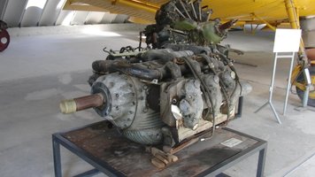 CIMG5364 (Large).JPG
