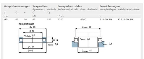 skf_81109TN.jpg