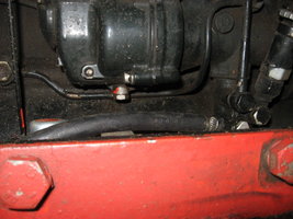 IMG_4328.JPG