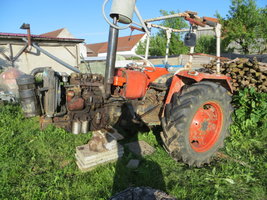 IMG_0383.JPG