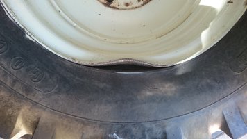 DSC_0133.JPG DSC_0133.JPG