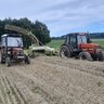 Micha 9540