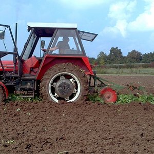 Feld_pfluegen_5011_04