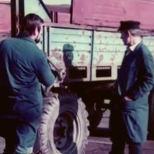 Tag für Tag - Milchviehanlage LPG Karl Marx Broderstorf   - DEFA Dokumentarfilm - YouTube