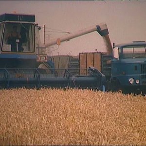 DDR AGRA Video 1982 ( Reserven auf dem Getreidefeld ) - YouTube