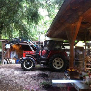 Mein Zetor 7245 morgens in der Früh