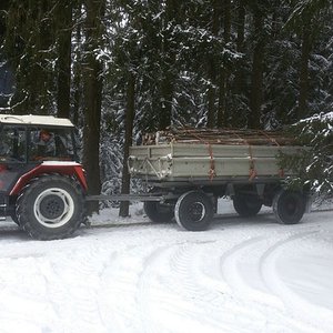 Zetor im Winterwald