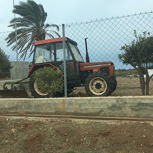 Zetor 5340 gesichtet 2020 auf Rhodos