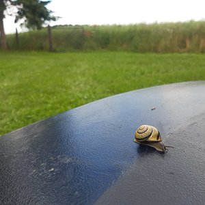 20210703_105530.jpg