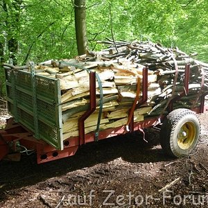 Holztransport 001 (Small).jpg