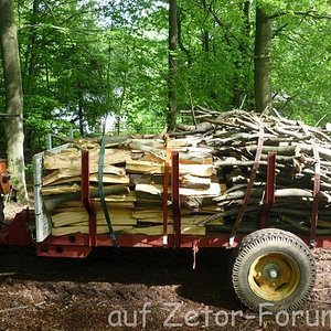 Holztransport 003 (Small).jpg