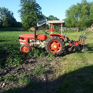20150605_190003.jpg