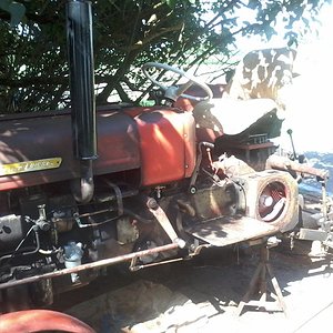 Bild_Zetor4.jpg
