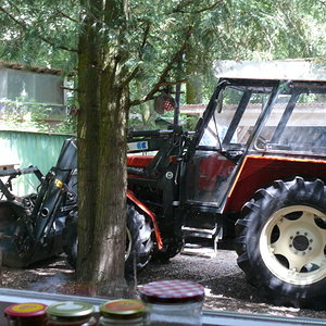 L1270807.JPG