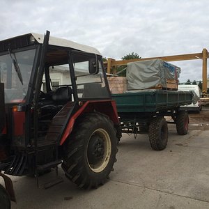 I phone Bilder 02.07.2017 263.JPG
