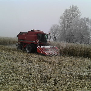 2011-01-30_10-46-24_331.jpg