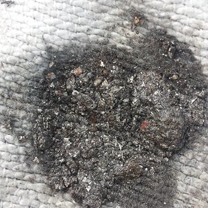 20180329_110554.jpg
