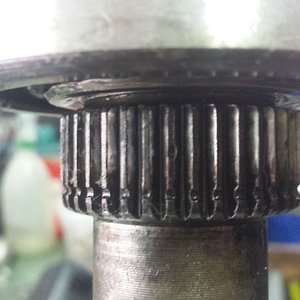 20180329_111938.jpg