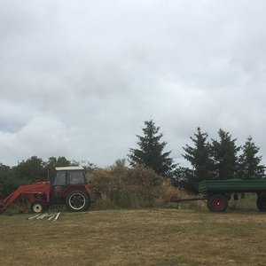 IMG_0044.JPG