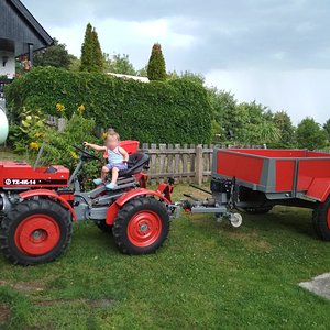 IMG_20180728_175411.jpg