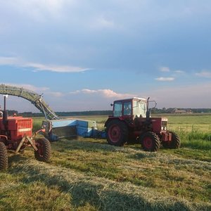 IMG-20180529-WA0011.jpg