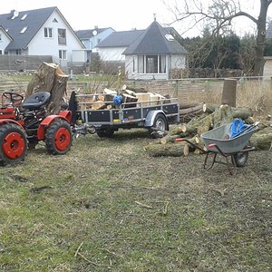 20160312_120212.jpg