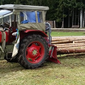 3511 beim Holz anrücken.jpg