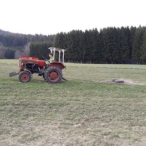 20200407_172827.jpg