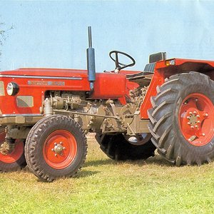 Z5711.jpg