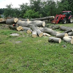 Einsatz bei Sturmschaden 2017.jpg