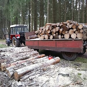 Feuerholz fahren