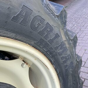 IMG_2153.jpeg