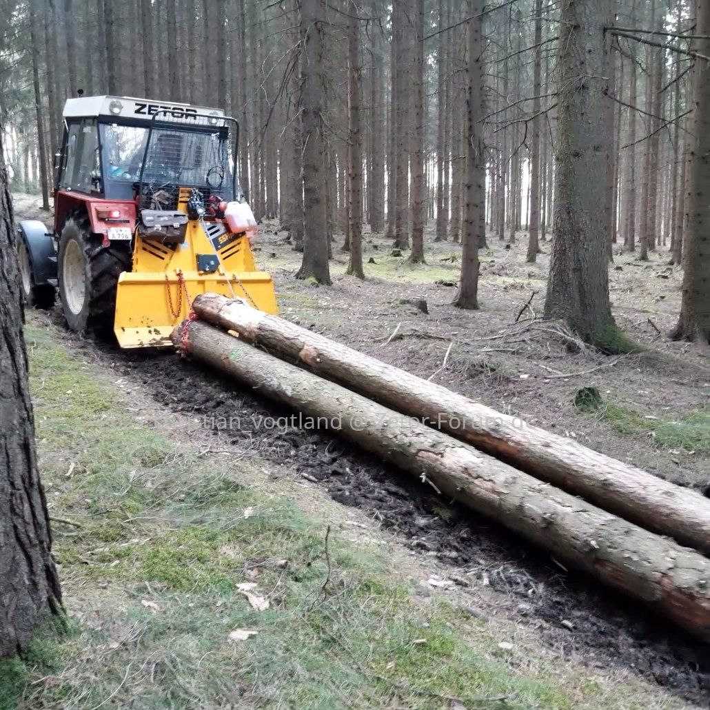 Holz Rücken