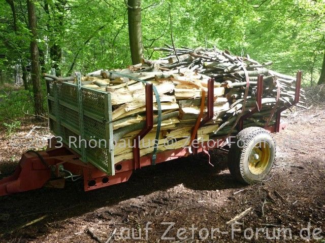 Holztransport 001 (Small).jpg