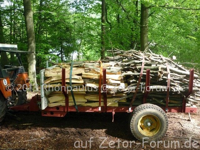 Holztransport 003 (Small).jpg